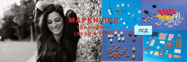 мдпв Гусев