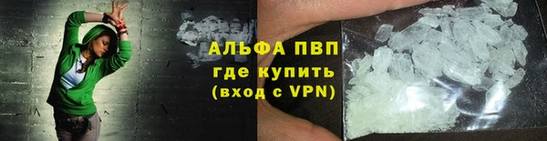 мдпв Гусев