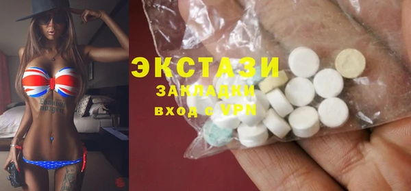 мдпв Гусев