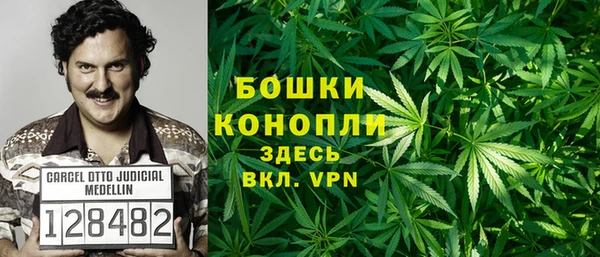 мдпв Гусев