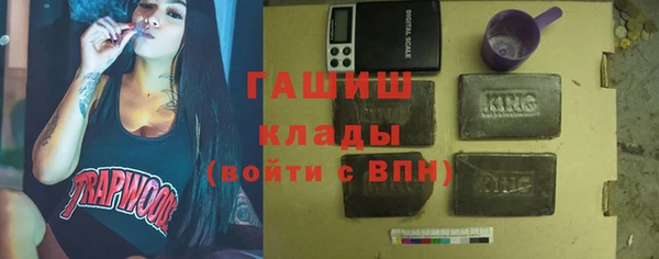 мдпв Гусев