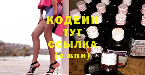 мдпв Гусев