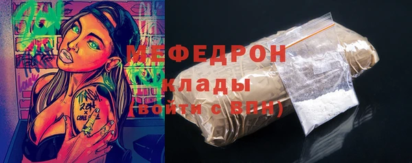 мдпв Гусев