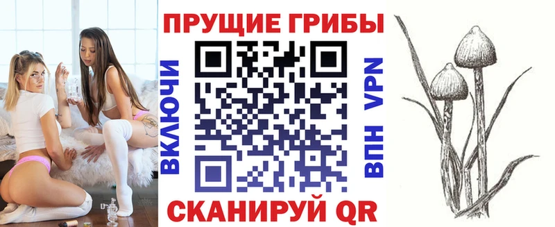 Купить закладки  Лыткарино  Псилоцибиновые грибы Psilocybe 